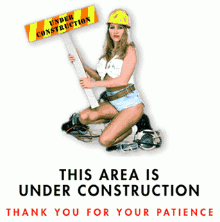 lady_work.gif